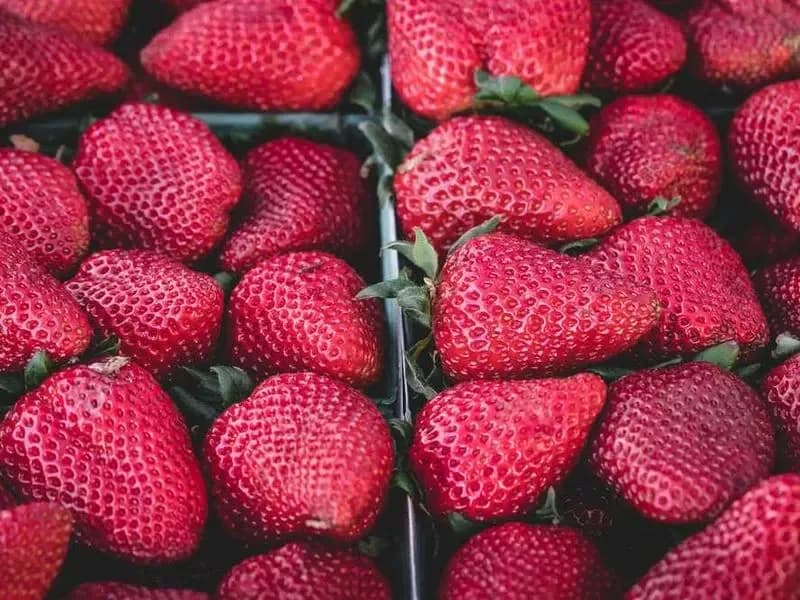 Excelencia Deportiva